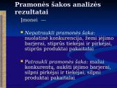 Išorinės aplinkos analizė 13 puslapis