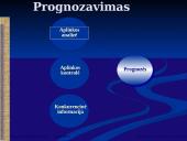 Išorinės aplinkos analizė 3 puslapis