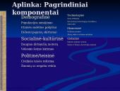 Išorinės aplinkos analizė 4 puslapis