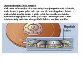Išorinės atminties įrenginiai 19 puslapis