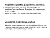 Išorinės atminties įrenginiai 6 puslapis