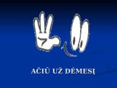 Išorinės duomenų laikmenos 16 puslapis