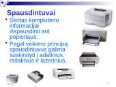 Įvesties ir išvesties įrenginiai 13 puslapis