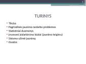 Jaunimo integracijos į rinką problemos ir sprendimo būdai 2 puslapis