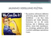 Jaunimo integracijos į rinką problemos ir sprendimo būdai 12 puslapis