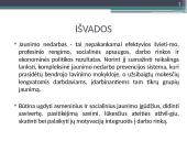 Jaunimo integracijos į rinką problemos ir sprendimo būdai 15 puslapis