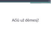 Jaunimo integracijos į rinką problemos ir sprendimo būdai 16 puslapis