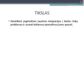 Jaunimo integracijos į rinką problemos ir sprendimo būdai 3 puslapis