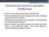 Jaunimo integracijos į rinką problemos ir sprendimo būdai 4 puslapis
