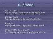 Jono Biliūno kūrybos bruožai ir gyvenimas 11 puslapis