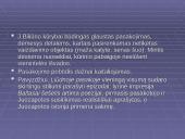 Jono Biliūno kūrybos bruožai ir gyvenimas 6 puslapis