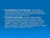 Joniškio rajono situacijos analizė 2 puslapis