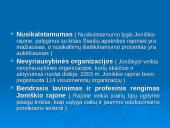 Joniškio rajono situacijos analizė 3 puslapis