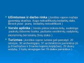 Joniškio rajono situacijos analizė 4 puslapis