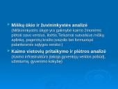 Joniškio rajono situacijos analizė 6 puslapis