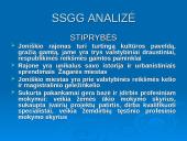 Joniškio rajono situacijos analizė 7 puslapis