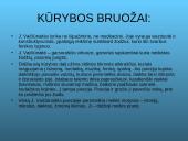 Judita Vaičiūnaitė 3 puslapis