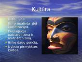 Juodosios Afrikos valstybės 13 puslapis