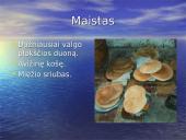 Juodosios Afrikos valstybės 16 puslapis