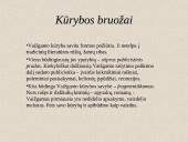 Juozas Tumas-Vaižgantas - ﻿rašytojas, prozininkas, publicistas, literatūros istorikas, kritikas 5 puslapis