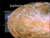 Jupiteris. Jupiterio tyrinėjimai 2 puslapis