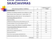 Kainodaros organizavimas AB "Vilniaus baldai" 4 puslapis