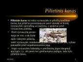 Kas yra karas? 8 puslapis