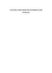Civilinės teisės principų interpretacinė funkcija