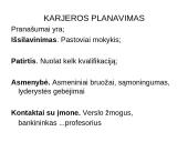 Karjeros planavimo žingsniai 3 puslapis
