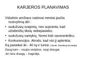 Karjeros planavimo žingsniai 7 puslapis
