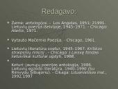 Kazys Bradūnas, jo biografija bei kūryba 8 puslapis