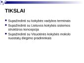 Kokybės vadyba Lietuvoje 2 puslapis