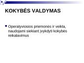Kokybės vadyba Lietuvoje 7 puslapis
