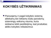 Kokybės vadyba Lietuvoje 8 puslapis