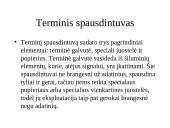 Kompiuterio įvesties ir išvesties priemonės 13 puslapis