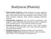 Kompiuterio įvesties ir išvesties priemonės 15 puslapis