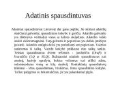 Kompiuterio įvesties ir išvesties priemonės 4 puslapis