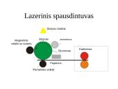 Kompiuterio įvesties ir išvesties priemonės 10 puslapis