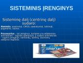 Kompiuterio sandara 2 puslapis