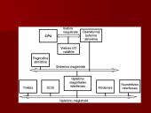 Kompiuterio techninė įranga ir sandara 13 puslapis