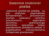 Kompiuterio techninė įranga ir sandara 10 puslapis