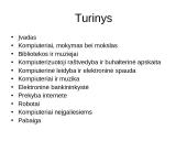 Kompiuteris kasdieniniame gyvenime 2 puslapis