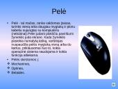 Kompiuterių techninė įranga 15 puslapis