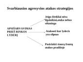 Konkurencijos agresyvumo analizė 11 puslapis