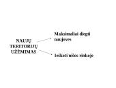 Konkurencijos agresyvumo analizė 13 puslapis