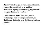 Konkurencijos agresyvumo analizė 3 puslapis