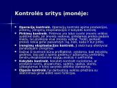 Kontrolė ir reguliavimas 11 puslapis