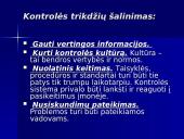 Kontrolė ir reguliavimas 13 puslapis
