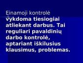 Kontrolė ir reguliavimas 8 puslapis