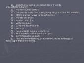 Kosminės stotys 6 puslapis